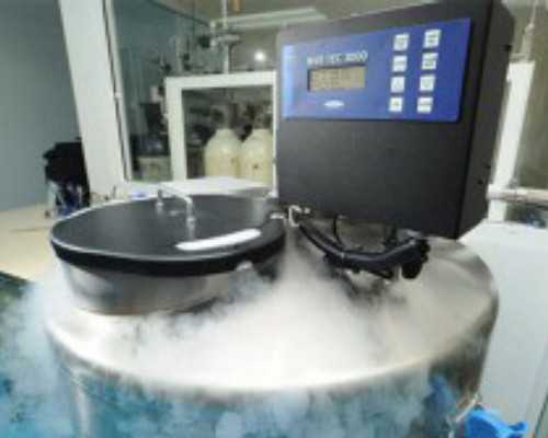 田园风光手抄报(田园风光手抄报内容)