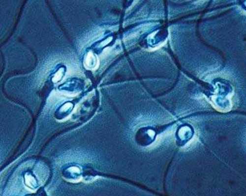 乌克兰供卵试管婴儿攻略&做试管还是没怀孕,备孕提前看！绵阳中心医院试管成