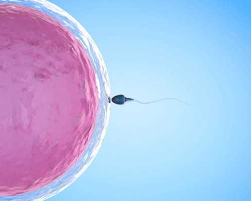 月子里怎样去妊娠纹不看你会后悔