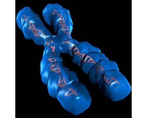 打完排卵针后身体呈现哪些症状是正常的？