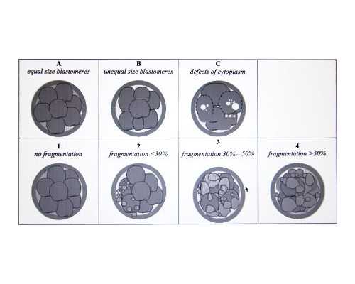 南京最受欢迎的助孕机构,南京民间私立的供卵机构靠谱吗？合法不？