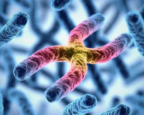 南京医院排队供卵,试管移植后第39天，B超这个样子，该怎么办-南京有供卵试管