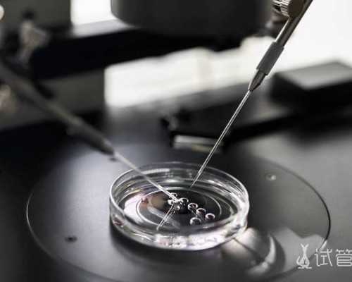 泌尿疾病的常见症状都有哪些？怎么防备防止不育？，怎么防备