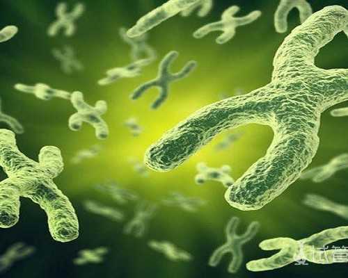 女性不排卵的原因女性没有排卵怎么治疗