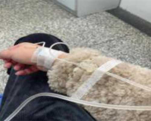 南京代生费用问题,第二代试管费用多少？价格贵不贵？-2024年中国试管医院排行