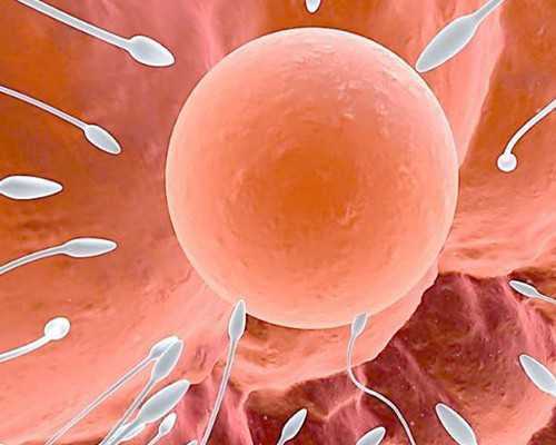 湖南中信湘雅做试管生男孩要多少钱？