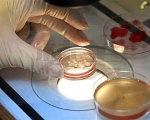 南京代孕成功案例,香港验血中介有真的吗_验血查性别化验所哪家准？-南京试管