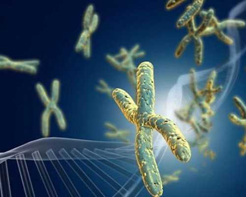 南京代生中介,南京助孕网