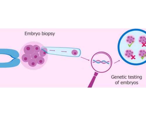 哪家医院可以供卵试管&试管生男孩,自测排卵日的几种方法，轻轻松松科学备孕