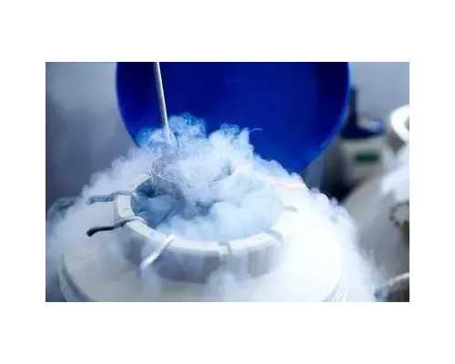 内膜0.8排过卵能怀孕吗&私人代妈联系方式,什么是子宫内膜炎？子宫内膜炎在备