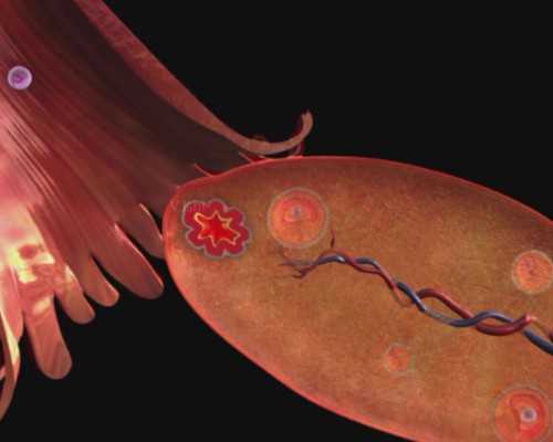 南京鼓楼生殖中心医院的设施如何？,南京鼓楼医院能否做供精试管