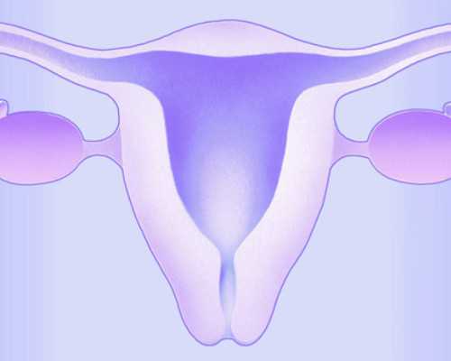 金贵子华人供卵可靠吗&金贝供卵医院,2025韶关市妇幼保健院试管婴儿成功率一览