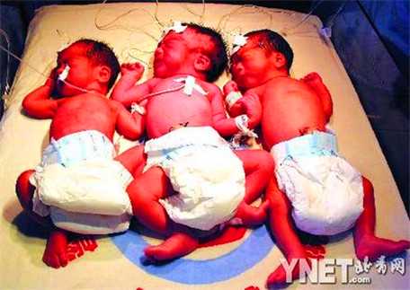 高性能宽带路由器：家圆：怀试管婴儿双胞胎？