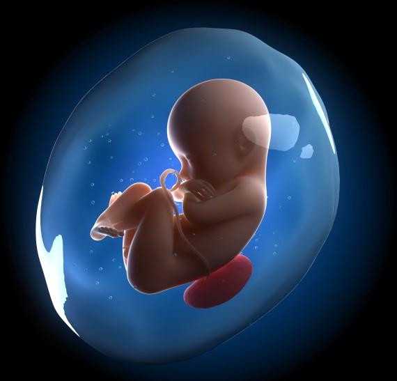 胎儿活动规律与健康的关系