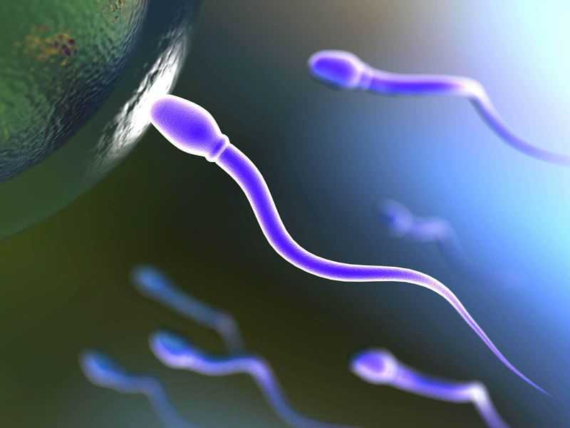 卵巢早衰怀孕几率多少&康宝助孕&男生精子质量差怎么看(男性不育自测）